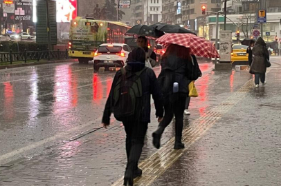 Yağışlar Bursalı çiftçilerin yüzünü güldürdü