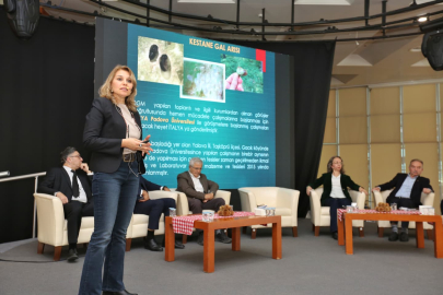 Bursa kestanesine Büyükşehir’den destek