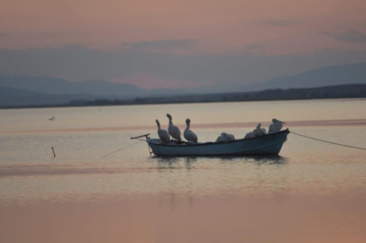 Karacabey'de çeltik ekimi yasaklandı