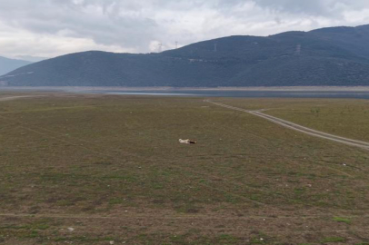 Bursa'da bir göl daha yok oluyor