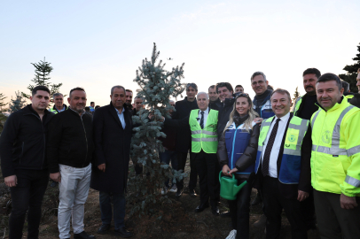 Büyükşehir Belediyesi, 'Yeniden Yeşil Bursa' için 15 bin fidan dikti