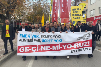 Kestel Demokrasi Platformu insanca bir yaşam için yürüdü