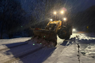 Nilüfer'de kar mesaisi
