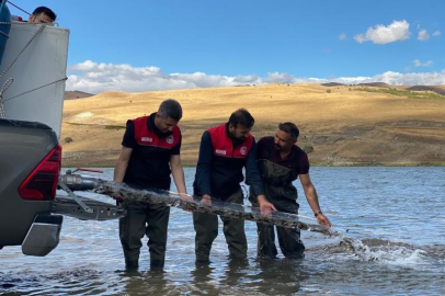 Türkiye nüfusu kadar balık deniz ve göllere bırakıldı