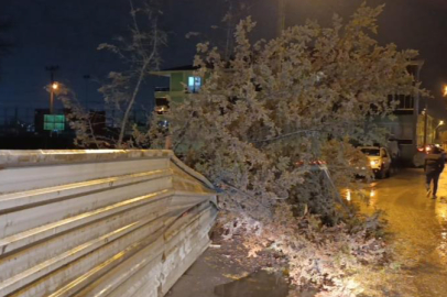 Bursa'da rüzgar etkili oldu