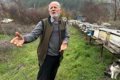 Bursa'da zirai ilaç yüzünden milyonlarca arısı kovana dönemeden öldü