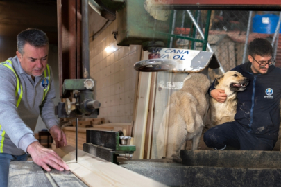 Mudanya'nın bir yılı
