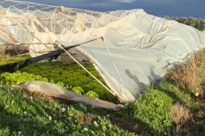 Ziraat Mühendisleri Odası Bursa Şubesi: Lodos'tan etkilenen çiftçinin zararı karşılanmalı