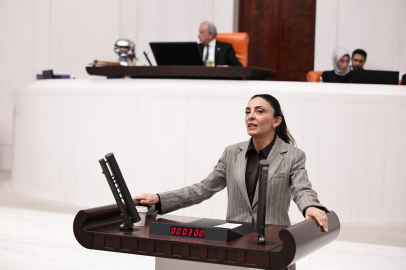 Nurhayat Altaca Kayışoğlu: "Doğayı katleden bu düzenle mücadelemiz sürecek"