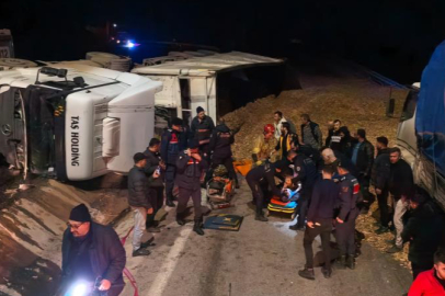 Bursa'da talaş yüklü tır devrildi: Araçta sıkışan genç sürücü hayatını kaybetti