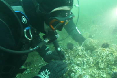 Marmara Denizi'ne kıyı kentlerin Belediye Başkanlarına dalış çağrısı