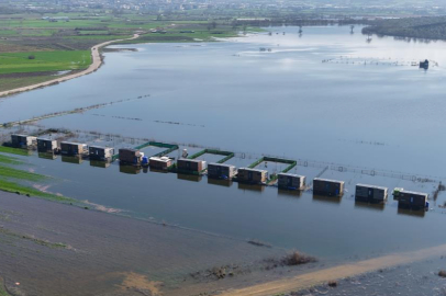 Uluabat Gölü'ndeki taşkın kıyı mahalleleri tehdit ediyor