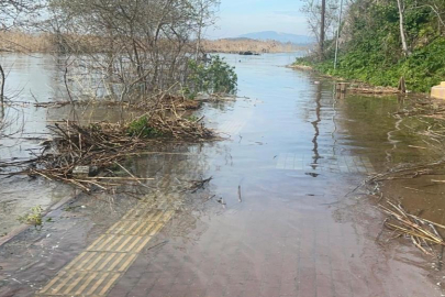 Yaren leyleğin köyü de yükselen göl sularından etkilendi