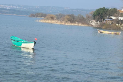Turna severlere Uluabat Gölü'nden güzel haber