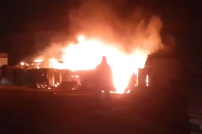 Bursa'da hayvan çiftliğinde yangın çıktı