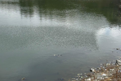 Bursa’da barajda erkek cesedi bulundu