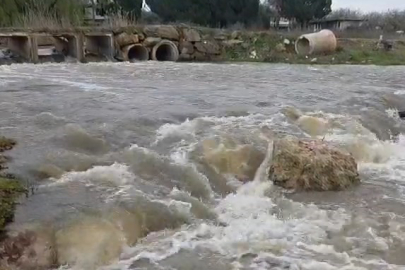 Kuruyan dere coştu, İznik Gölü’ne umut oldu