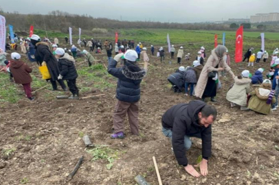 Bursa'da 2 yıl önce yanan 80 hektarlık alan ağaçlandırıldı