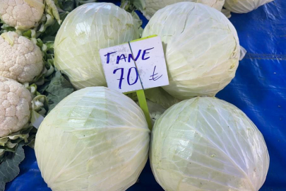 Bursa'da beyaz lahanada ne çiftçi kazandı ne de tüketici ucuza yedi