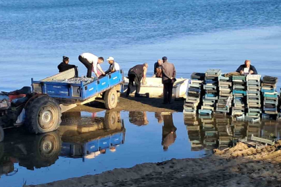 İznik Gölü’nde bereketli sezon: Gümüş balığında yüzler gülüyor