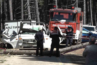 Uludağ’da kesilen ağaç seyir halindeki kamyonetin üzerine devrildi: 1 ölü