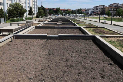 Nilüfer’de atıl süs havuzları kent bahçesine dönüşüyor