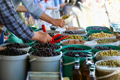 Tirilye’de 2. zeytin çiçeği festivali başladı
