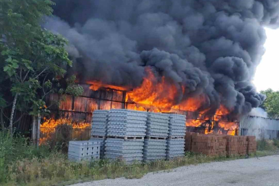 Bursa'da boya fabrikasında yangın çıktı