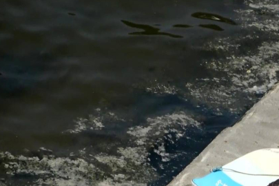 Gemlik Körfezi’nde müsilaj yeniden görülmeye başlandı