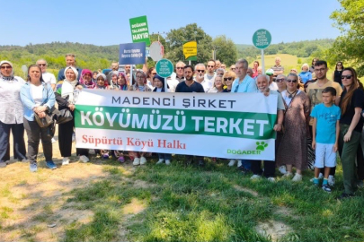 DOĞADER: Ormanlarımız madencilerin çalışma sahasına dönüştürüldü