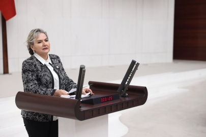 CHP İstanbul Milletvekili Nimet Özdemir partisinden istifa etti