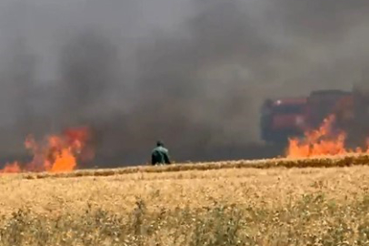 Bursa'da buğday tarlaları alevlere teslim oldu