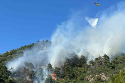 Bursa’da ormanlık alanda yangın