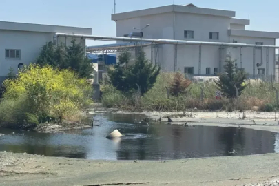 BUSKİ’nin lağım çukuruna dönüşen tesisi Mudanya Belediye Başkanı Dalgıç yerinde inceledi