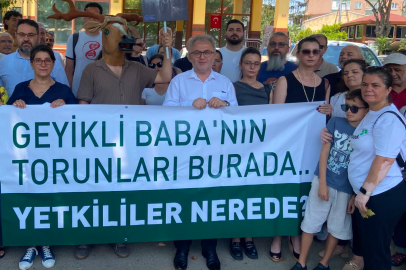 Sadece kızıl geyiği değil, Bursa'nın yaşam hakkını savunuyoruz