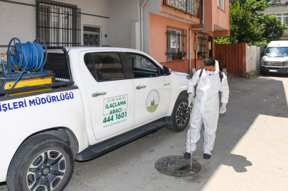 Osmangazi Belediyesi’nden haşereye karşı anında müdahale