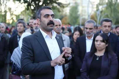 Doğan Hatun, Diyarbakır Büyükşehir Belediyesi Eş Başkanlığı görevinden istifa etti
