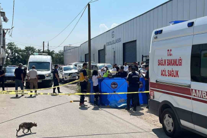 Bursa'da cinayet: Eşini ve eniştesini öldürdü