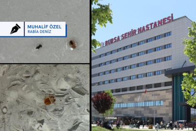 Bursa Şehir Hastanesi’nde tahtakurusu: Parası ödenen hizmetler denetleniyor mu?