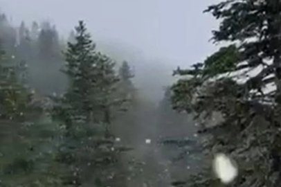 Uludağ'a kar yağdı!