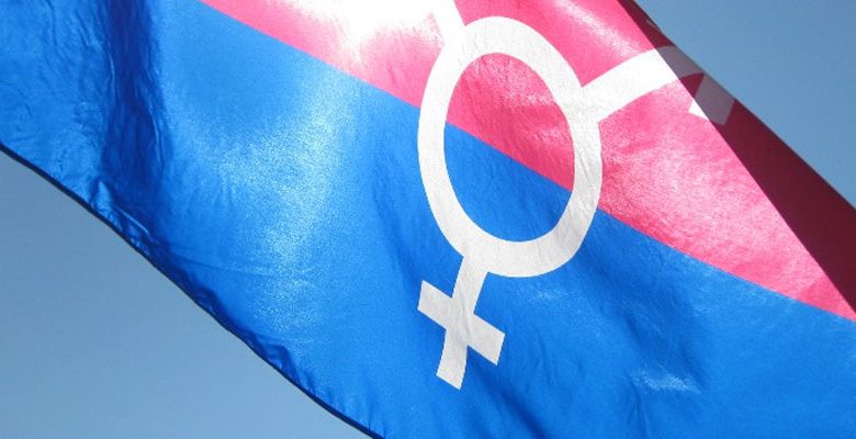 Transgender bayrağı