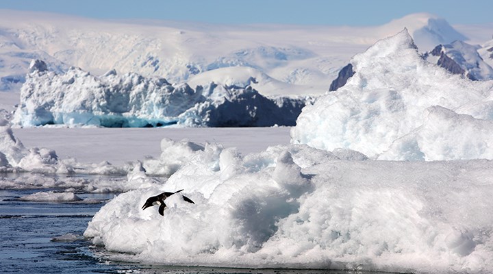 antarktika daki buz tabakasinin altinda ilk kez buyuk miktarda su bulundu 1012165 5
