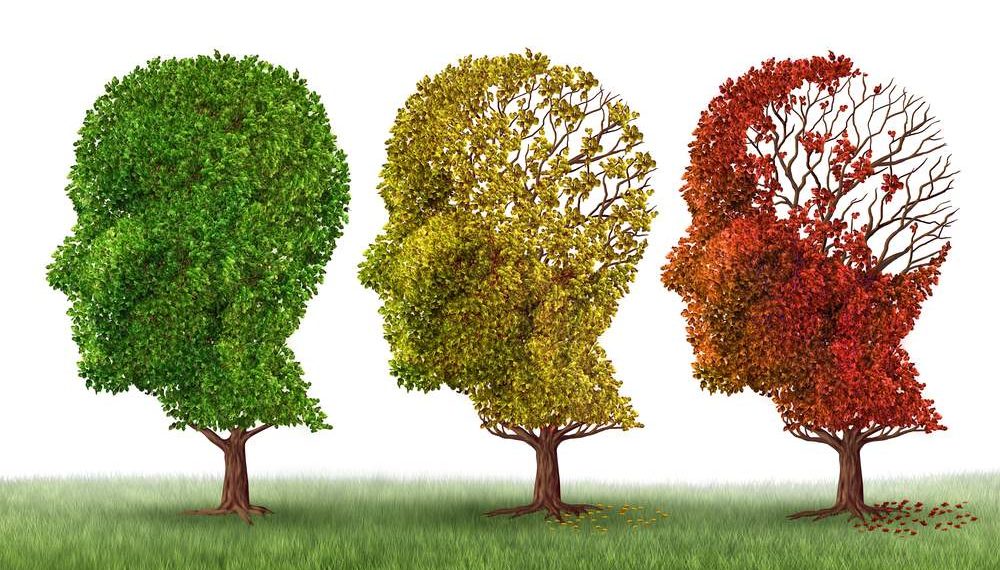 Görselde alzheimer hastalığı üç ağaç üzerinden görselleştirilmiş. Birinci ağaç yeşil ve sağlıklı, ikinci ağaç sararmış ve bazı yaptıkları dökülmüş, üçüncü ağaç ise kırmızı ve diğerlerine göre daha yıpranmış görünüyor.