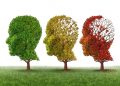 Görselde alzheimer hastalığı üç ağaç üzerinden görselleştirilmiş. Birinci ağaç yeşil ve sağlıklı, ikinci ağaç sararmış ve bazı yaptıkları dökülmüş, üçüncü ağaç ise kırmızı ve diğerlerine göre daha yıpranmış görünüyor.