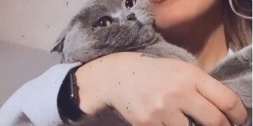 Bir kadın kucağında gri kediyle poz veriyor