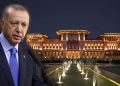 Saray Erdoğan görseli