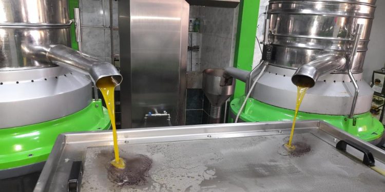 Makinelerden zeytin yağı dökülüyor.