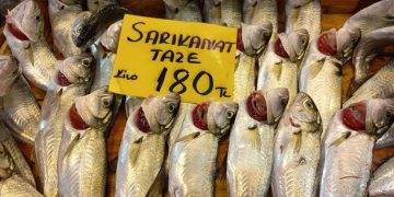 Balık tezgahı ve balıkların fiyatı. Sarıkanatın fiyatı: 180 TL